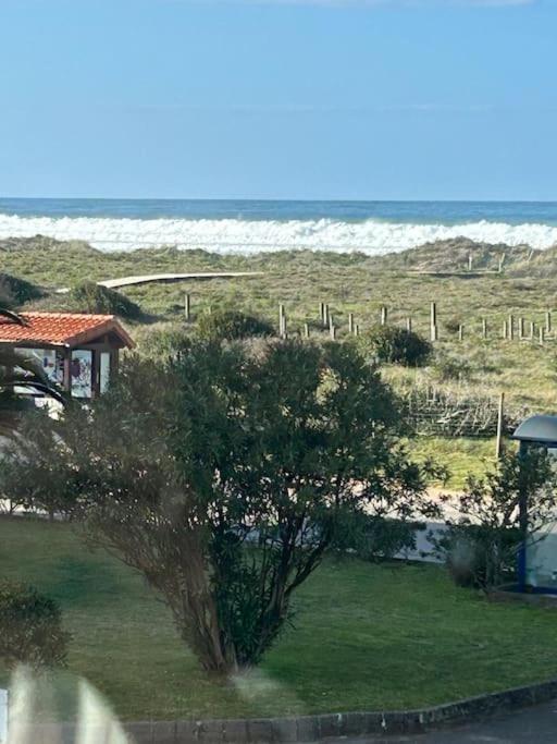 Playa De Berria -Apartamento Con Piscina Y Vistas Al Mar Santoña 외부 사진